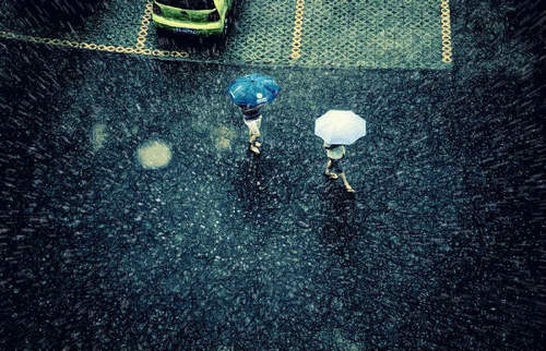 雨水收集利用的經濟效益如何？怎樣能實現雨水收集利用？